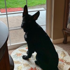 Meet your Posher, Debi